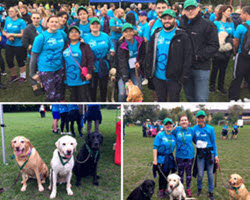 Intersurgical charity 7km Memory Walk for Alzheimer's Society