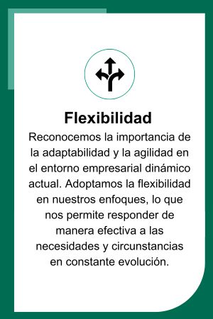COL-Working-at-intersurgical-flexible-value-image